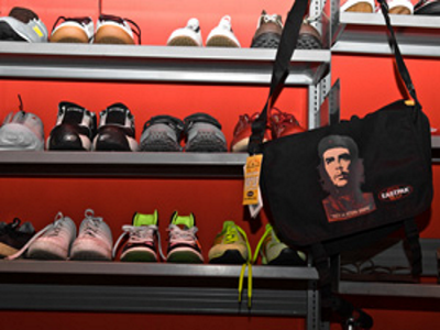 Rohstoff des Wissens: Geschichte, Nutzung und Bedeutung wissenschaftlicher Sammlungen (Studiengruppe "sammeln, ordnen, darstellen")